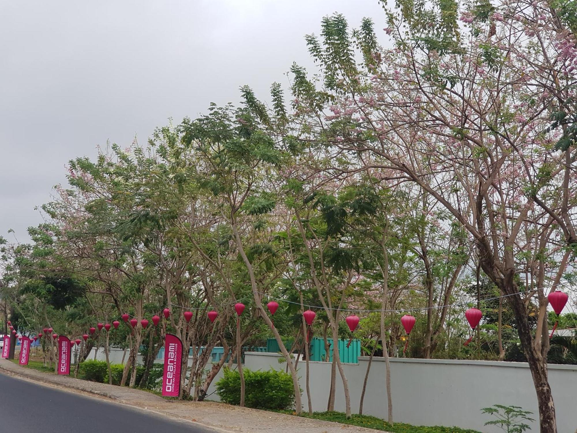 Oceanami Resort Sea View Long Hai Esterno foto