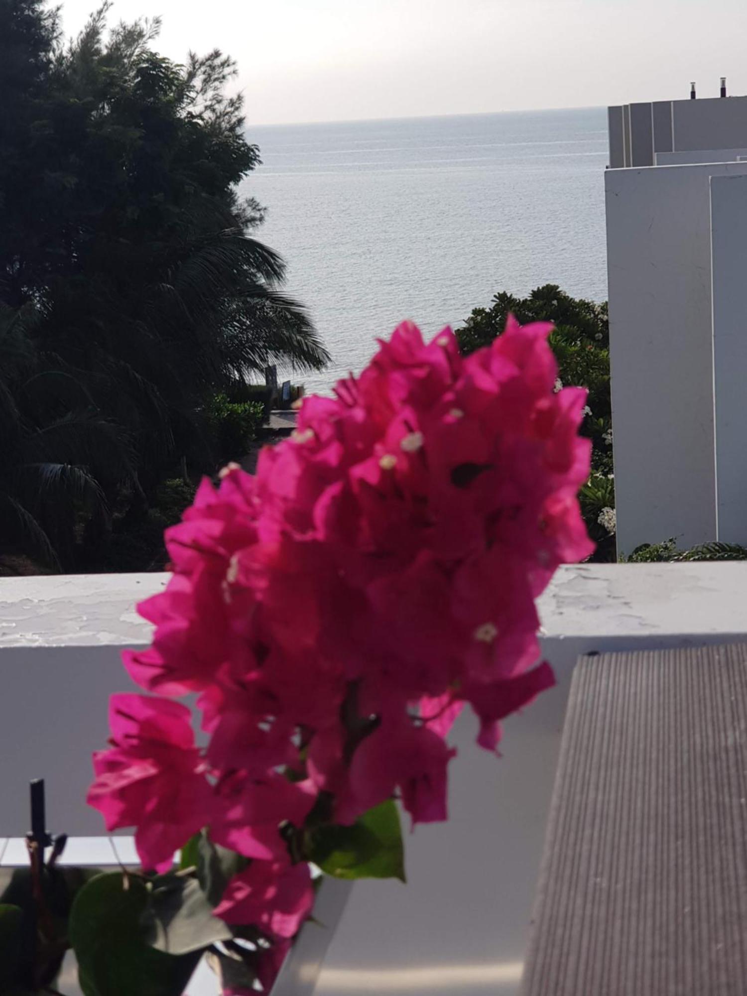 Oceanami Resort Sea View Long Hai Esterno foto